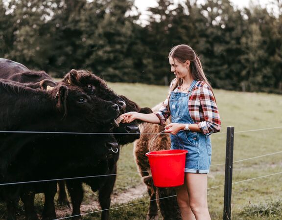 Header Galloway Gaensberg